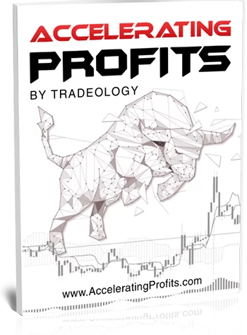Accelerating Profits Review 2020 Accelerating Profits Review